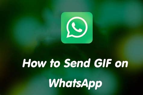 naughty gifs for whatsapp|How to send GIFs .